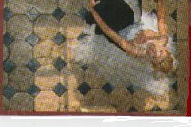 si danza sul pavimento in Cotto Pressobeton