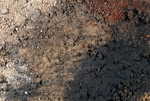 Gobbetto S.r.l. Dega Carpet - 1