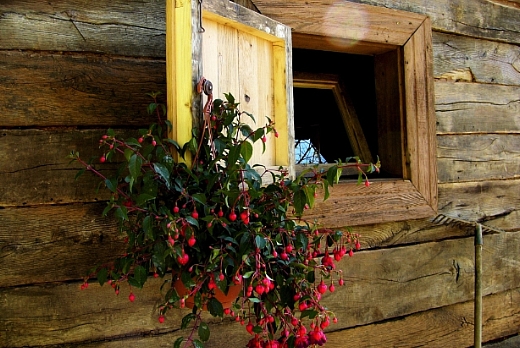 Legno Antico CHALET IN ROVERE  PROVENIENTE SVIZZERA - 7
