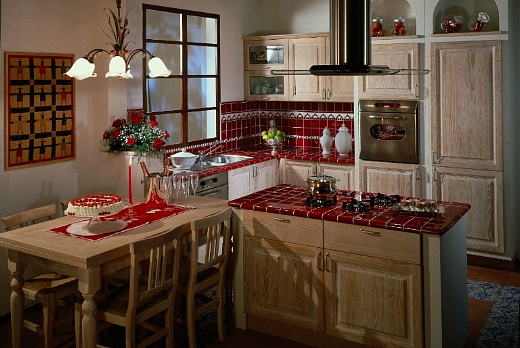 Acquario  Cucine in muratura - 6