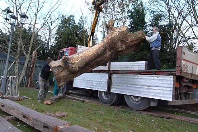 PAVIMENTI DI RECUPERO E MATERIALI PER RISTRUTTURAZIONI in Emilia-Romagna - 3