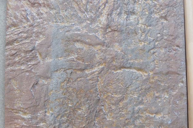 PAVIMENTI PER ESTERNI in Emilia-Romagna - 3