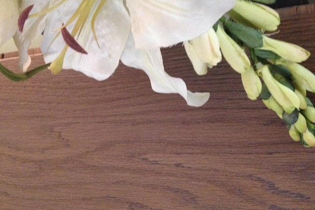 PARQUET / PAVIMENTI IN LEGNO (bambu) - 8