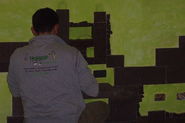 POSATORI PAVIMENTI - 1