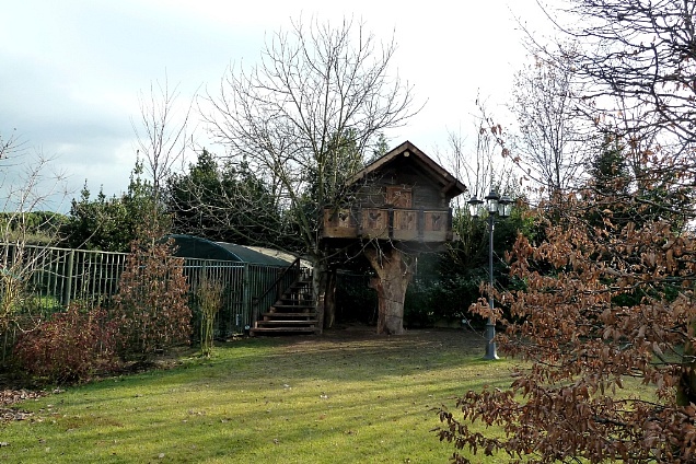 PAVIMENTI DI RECUPERO E MATERIALI PER RISTRUTTURAZIONI in Emilia-Romagna - 9