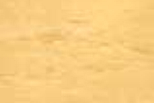 Liuni SpA Pavimenti vinilici direzionali POLYFLOR XL PU AS - 8