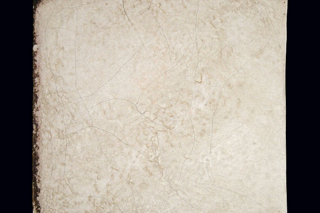 MedioEvo - 20x20 bianco opaco