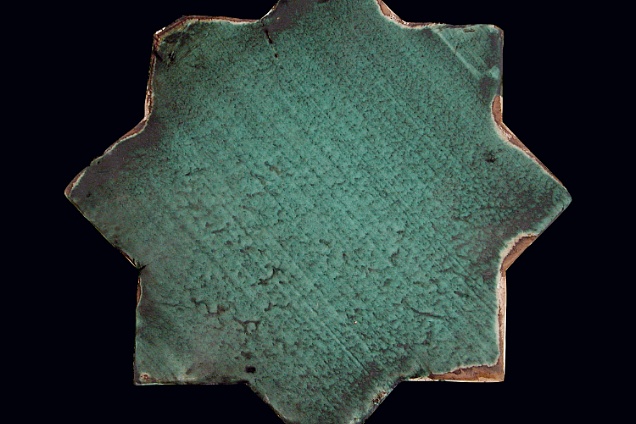 MedioEvo - stella ramina