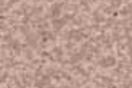 Liuni SpA Pavimenti vinilici non direzionaliCLASSIC MYSTIQUE - 5