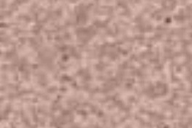 PAVIMENTI SPECIALI (beige) - 5