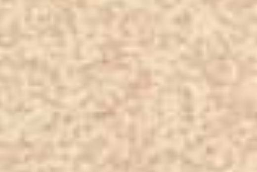 Liuni SpA Pavimenti vinilici non direzionaliCLASSIC MYSTIQUE - 9