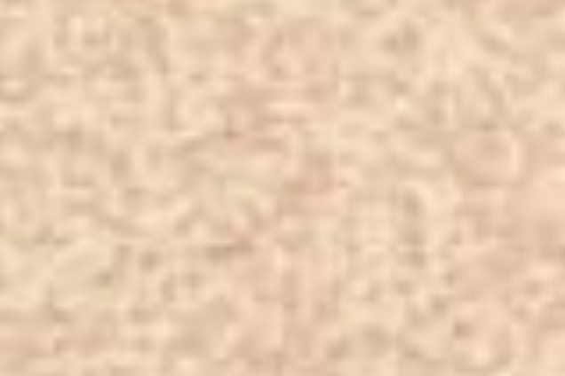 PAVIMENTI SPECIALI (beige) - 9