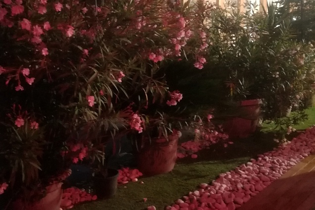 PAVIMENTI PER ESTERNI (pavimenti-in-legno-parquet) - 2