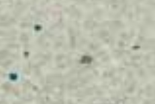 Liuni SpA Pavimenti vinilici non direzionali MYSTIQUE PUR - 2