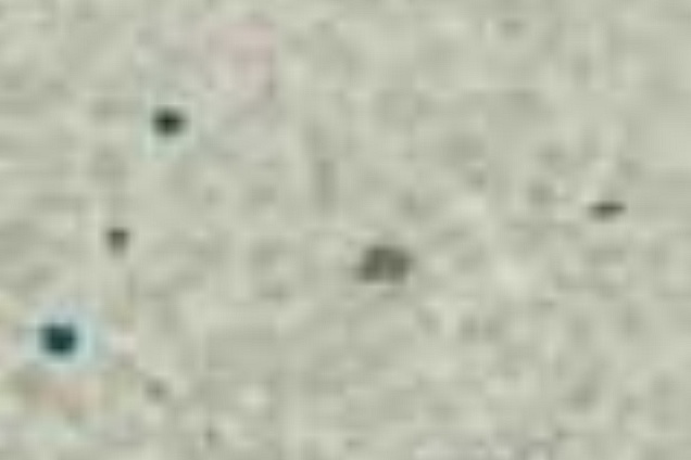 PAVIMENTI SPECIALI (beige) - 2