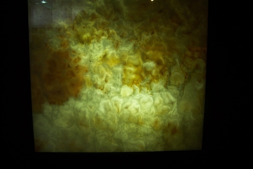 onice retroilluminato