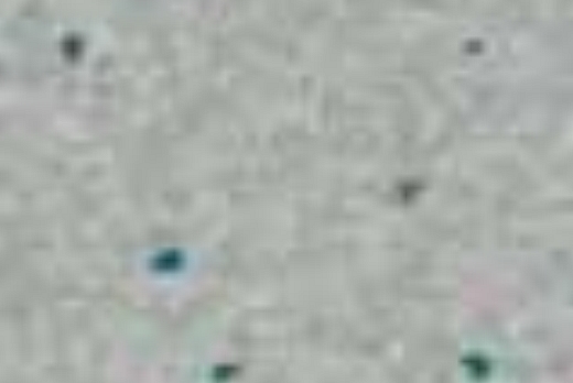 Liuni SpA Pavimenti vinilici non direzionali MYSTIQUE PUR - 9