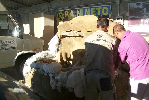 Pan Neto International srl ROCCIE ARTIFICIALI - 1