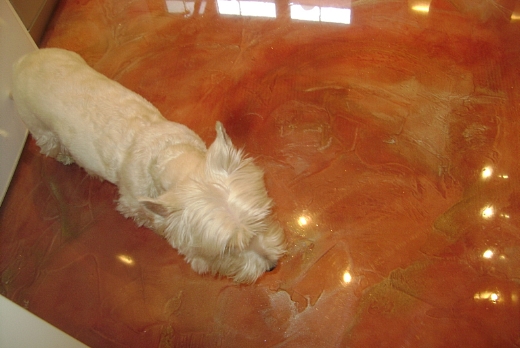 pavimento in resina della Gobetto -decorazione e finitura lucida poliepo: "elemento terra" con pigmenti argentati.
