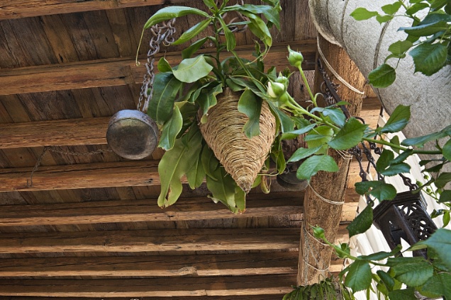 PAVIMENTI DI RECUPERO E MATERIALI PER RISTRUTTURAZIONI (soffitti) - 3