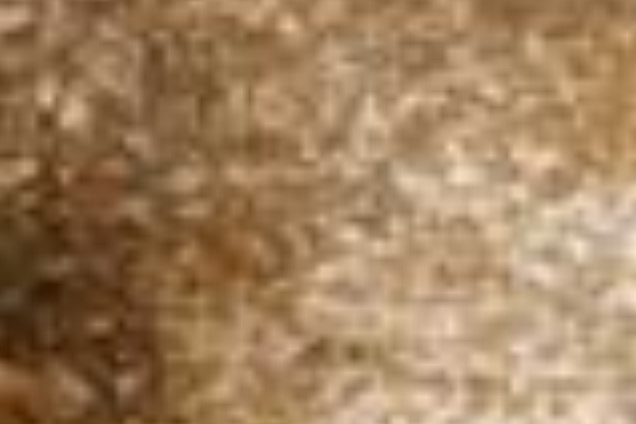 PAVIMENTI SPECIALI - 7