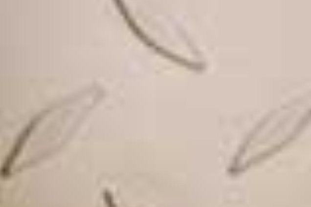 PAVIMENTI SPECIALI - 9