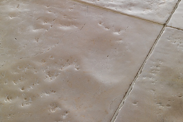 PAVIMENTI IN MARMO / PIETRA (avorio) - 8