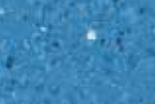 Liuni SpA Pavimenti vinilici non direzionali  PRESTIGE PUR - 6