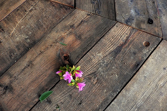  in Emilia-Romagna - 1