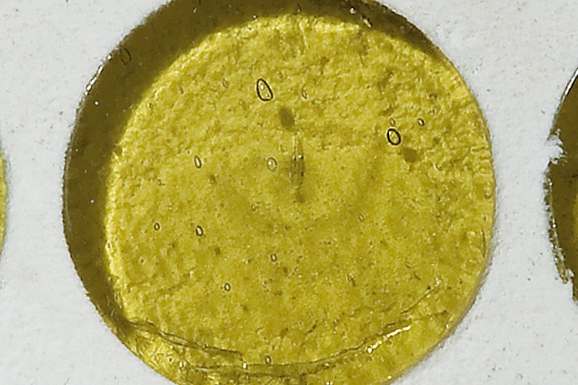 MOSAICI in Emilia-Romagna - 7