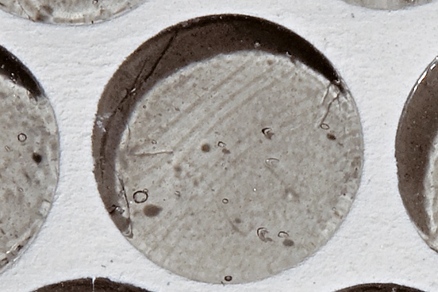 MOSAICI in Emilia-Romagna - 8