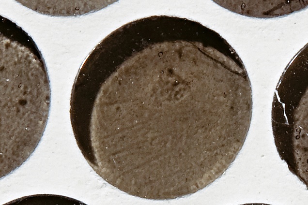 MOSAICI in Emilia-Romagna - 9