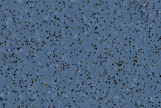 Liuni SpA Pavimenti vinilici antiscivolo POLYSAFE STANDARD - 4