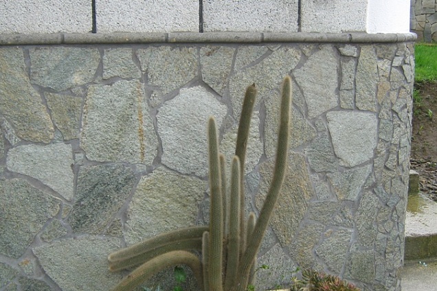 RIVESTIMENTI (nero) - 6