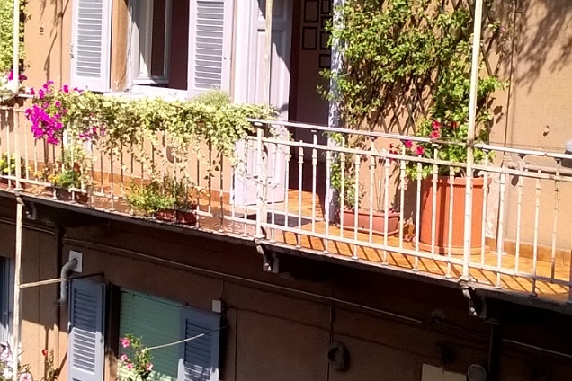 PAVIMENTI IN COTTO (marrone) - 2