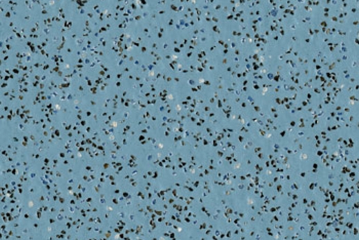 Liuni SpA Pavimenti vinilici antiscivolo POLYSAFE STANDARD - 6