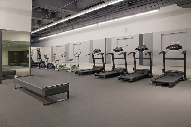 MOQUETTE, TESSUTO, TATAMI - 1