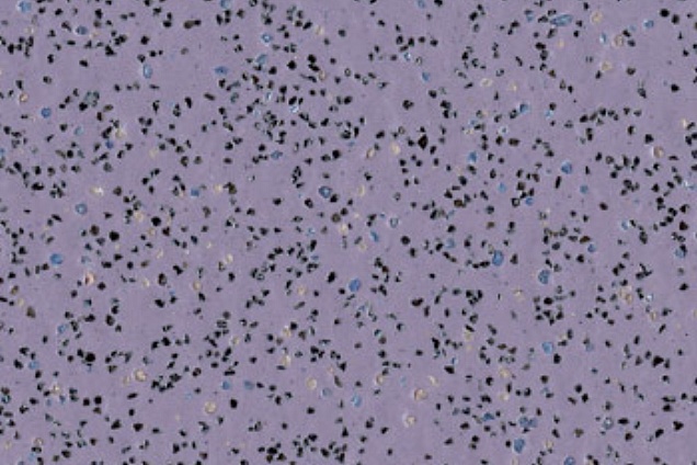 PAVIMENTI SPECIALI - 8