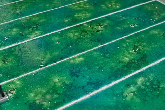 Canaletto Verde Scuro 20x80