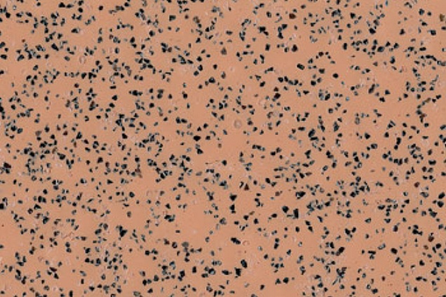 PAVIMENTI SPECIALI - 9