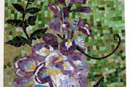 Mirko Federici glicine - 1