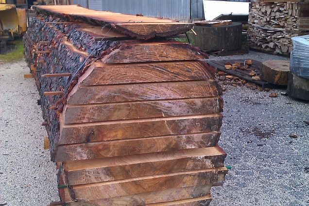 PARQUET / PAVIMENTI IN LEGNO (iroko) - 3