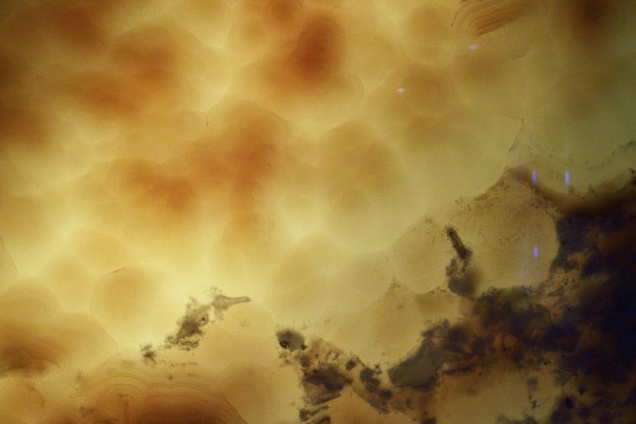 Venature in evidenza ottenute retroilluminando l