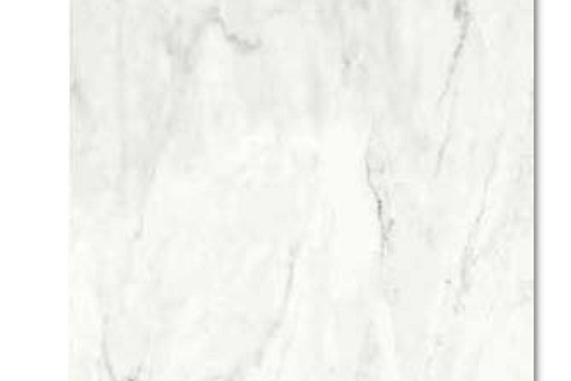 PAVIMENTI IN CERAMICA (levigata) in Emilia-Romagna - 2