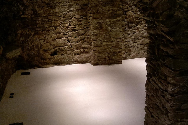 POSATORI PAVIMENTI - 6