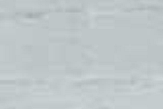 Liuni SpA Pavimenti vinilici direzionali POLYFLOR XL PU AS - 2