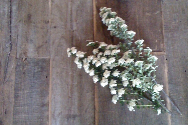 PAVIMENTI DI RECUPERO E MATERIALI PER RISTRUTTURAZIONI in Emilia-Romagna - 3