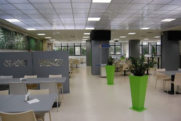 PAVIMENTI SPECIALI (rombo) - 1