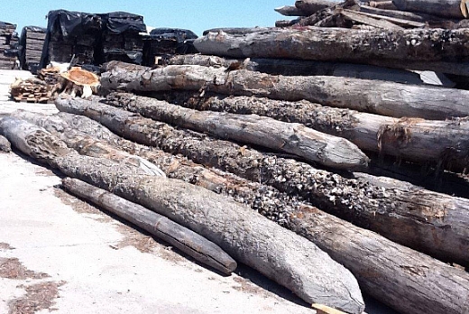 Antico Trentino Srl Briccola di Venezia certificata Lebrìc - 3