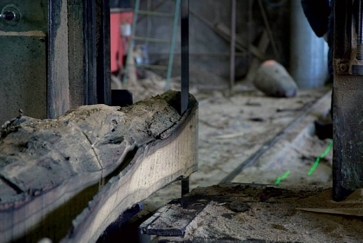 Antico Trentino Srl Briccola di Venezia certificata Lebrìc - 4